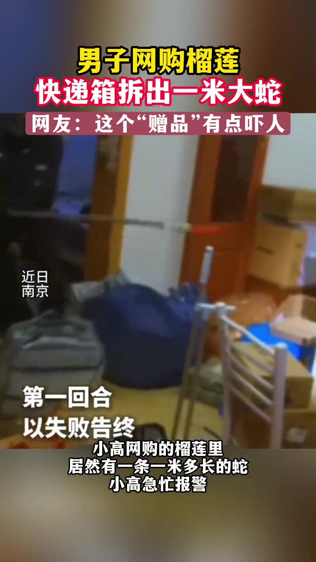 男子网购榴莲快递箱拆出一米大蛇不过这个“赠品”有点吓人