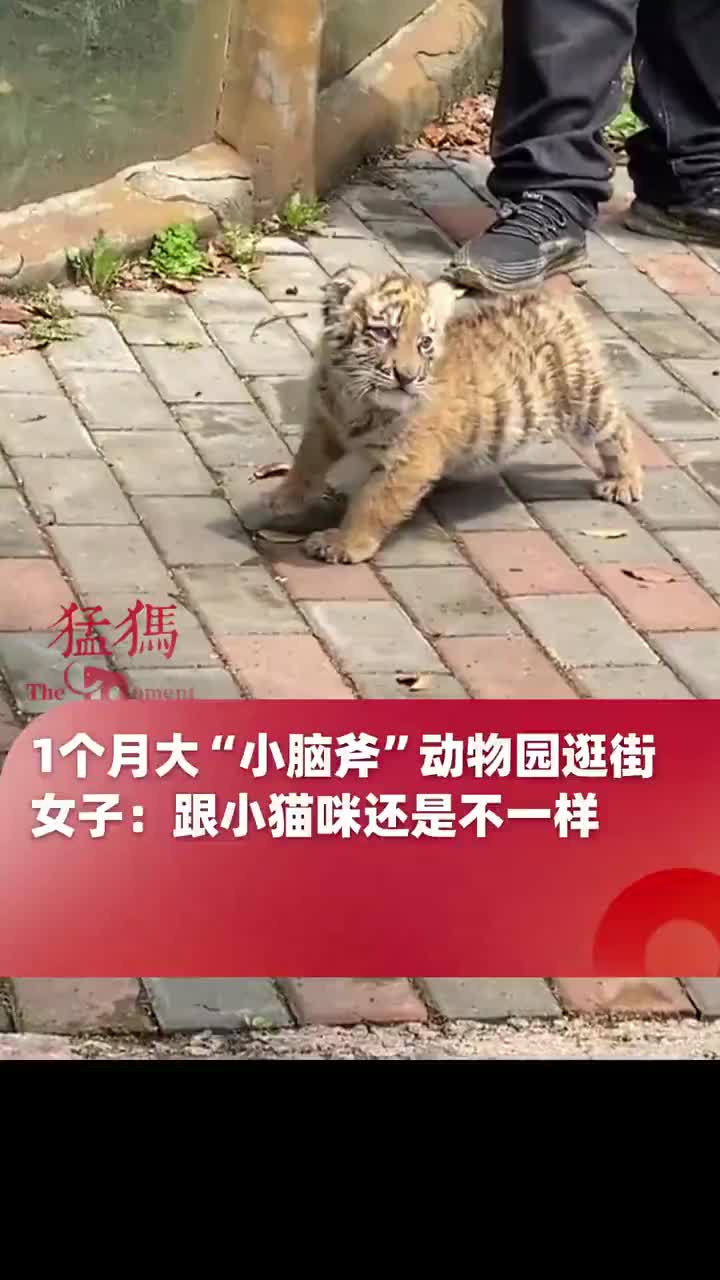 快蹂躏它！这是为数不多的机会了！