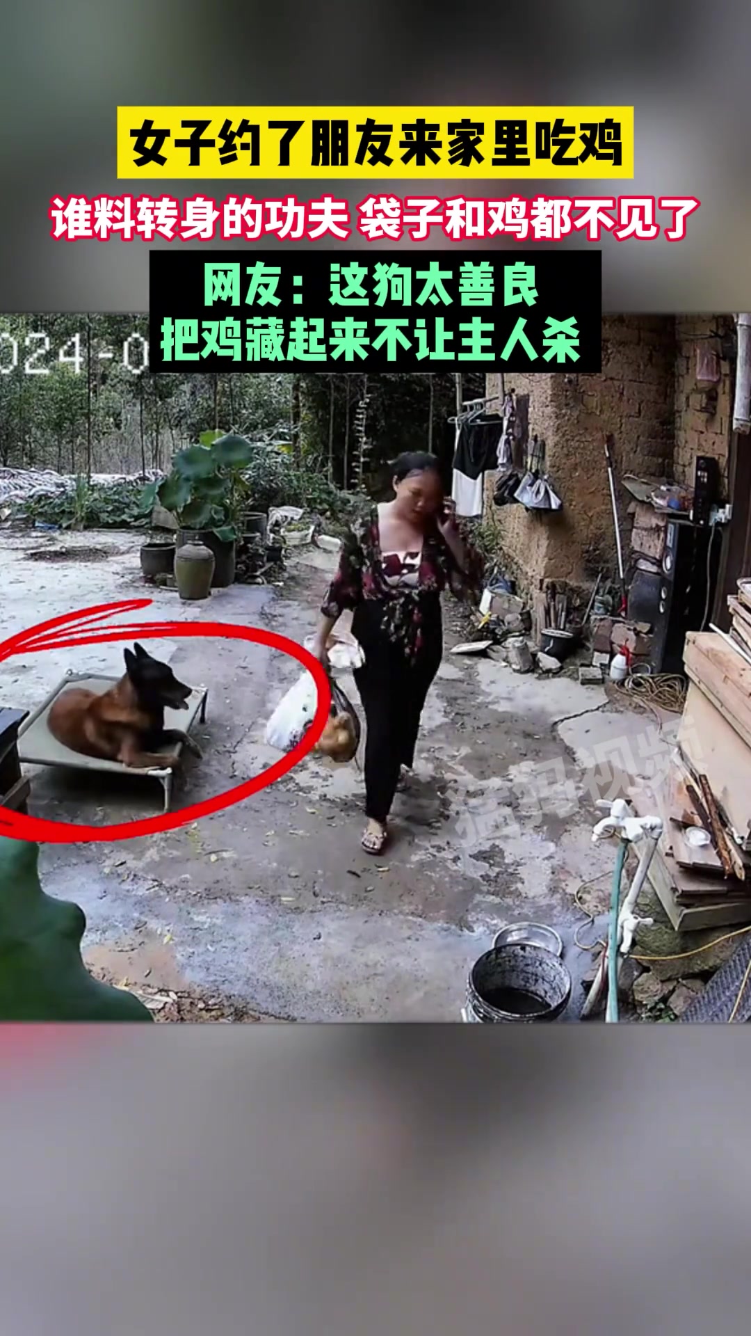 女子约了朋友来家里吃鸡，哪知道转身进屋的功夫，袋子和鸡不见了