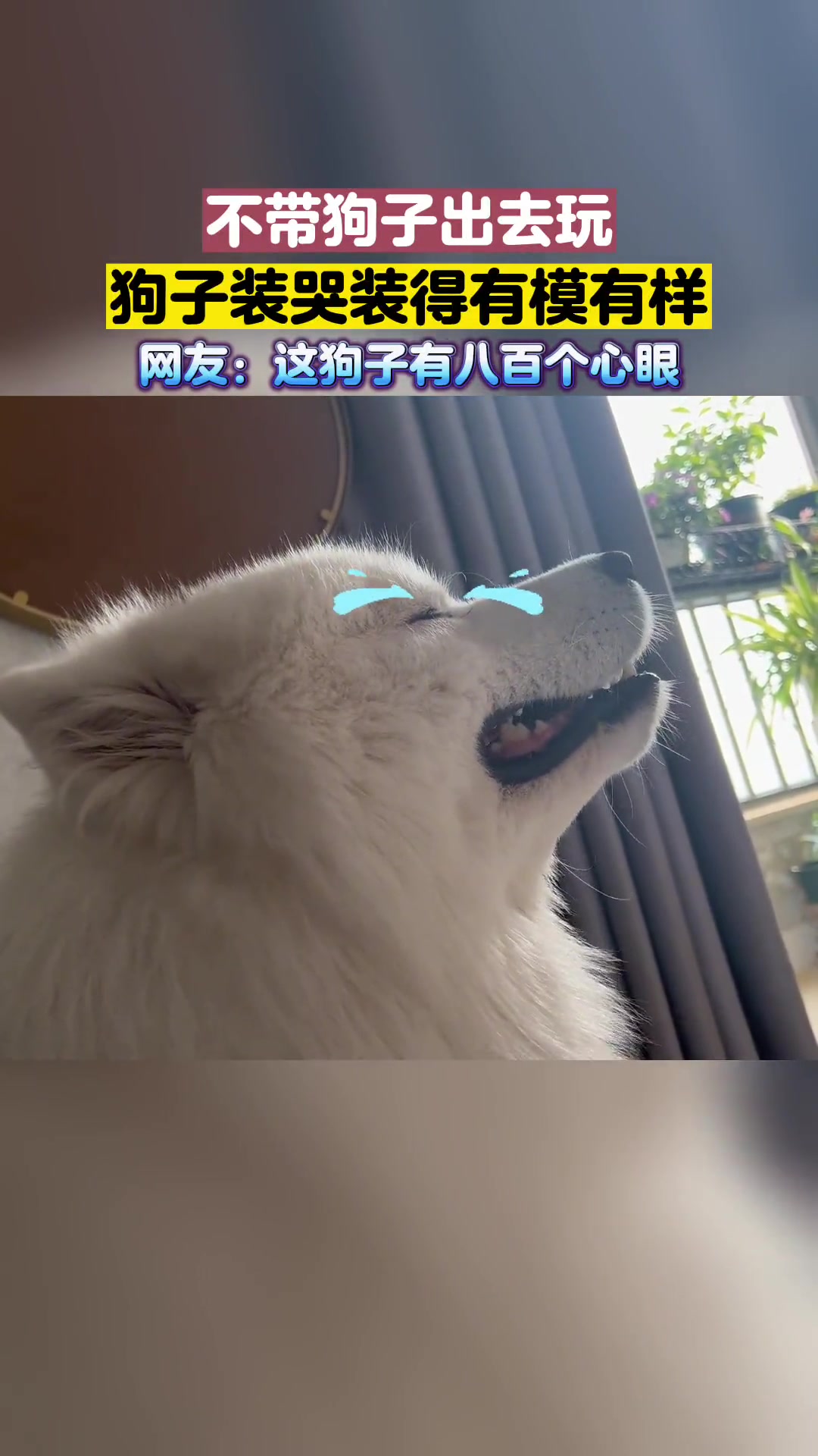 别耽误了！快送去上学吧，比我演的真
