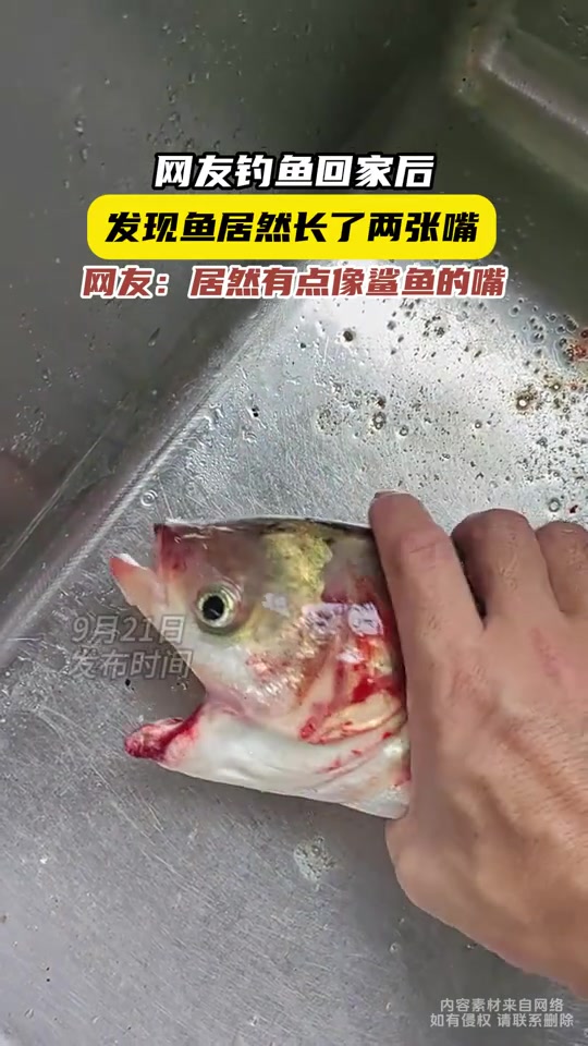玩我呢给人家进气道割了说有两个嘴巴