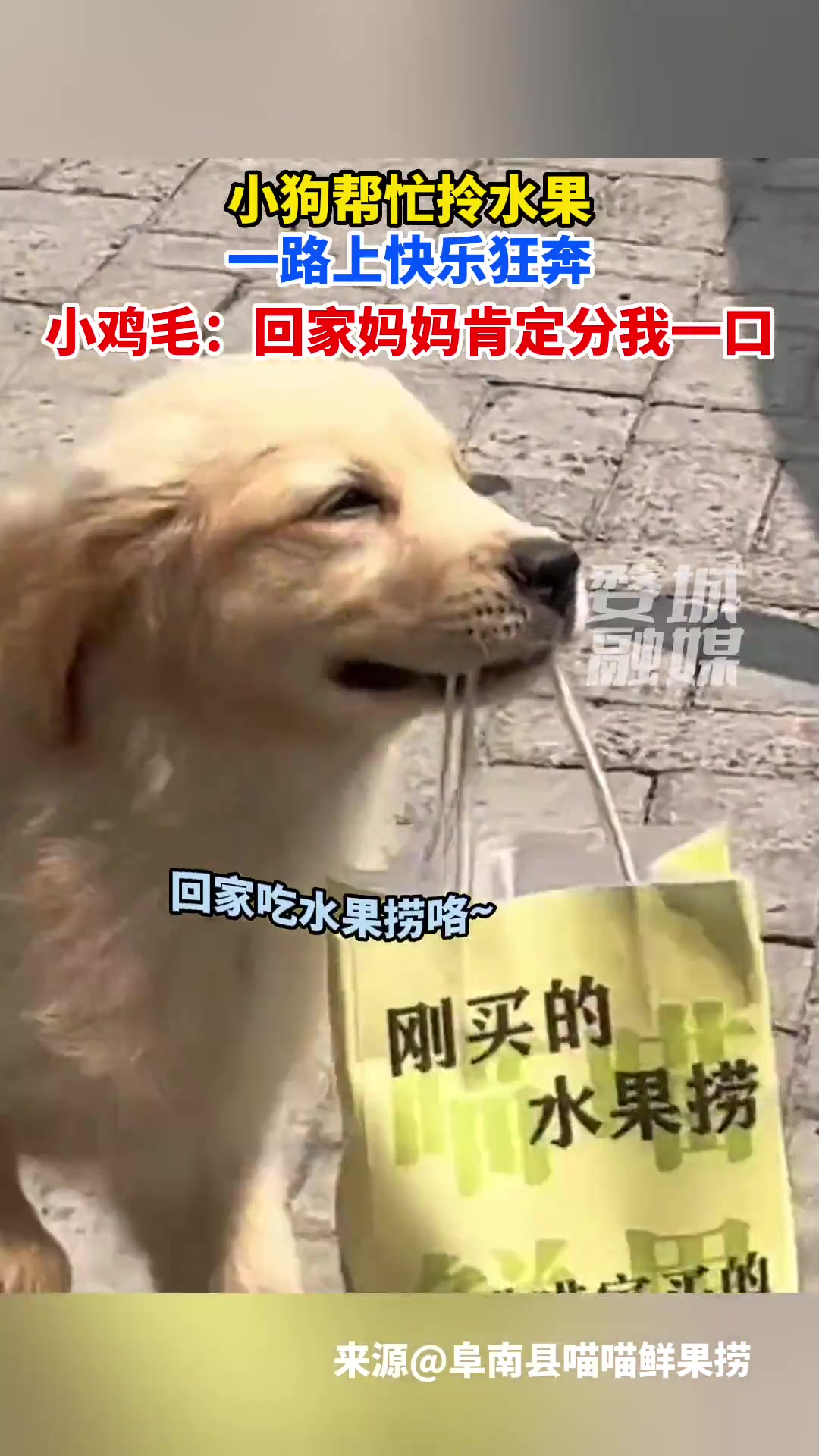 真的是和小孩一样屁颠屁颠怪可爱的