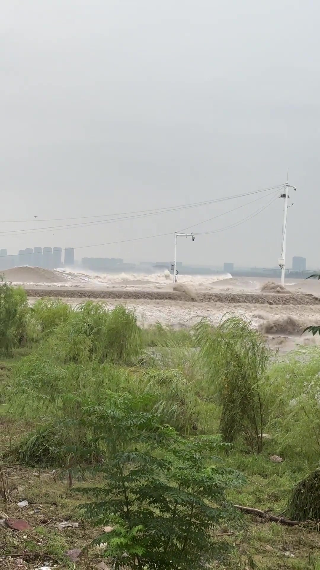 这潮有点像海啸了