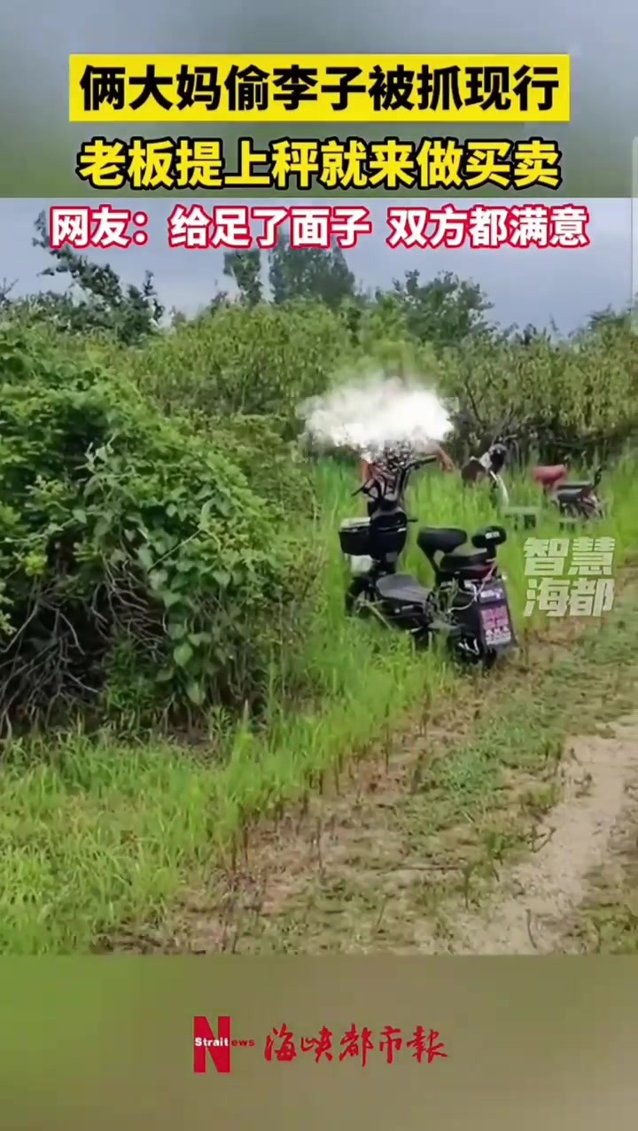 俩大妈偷李子被抓现行，老板提上称就来做买卖
