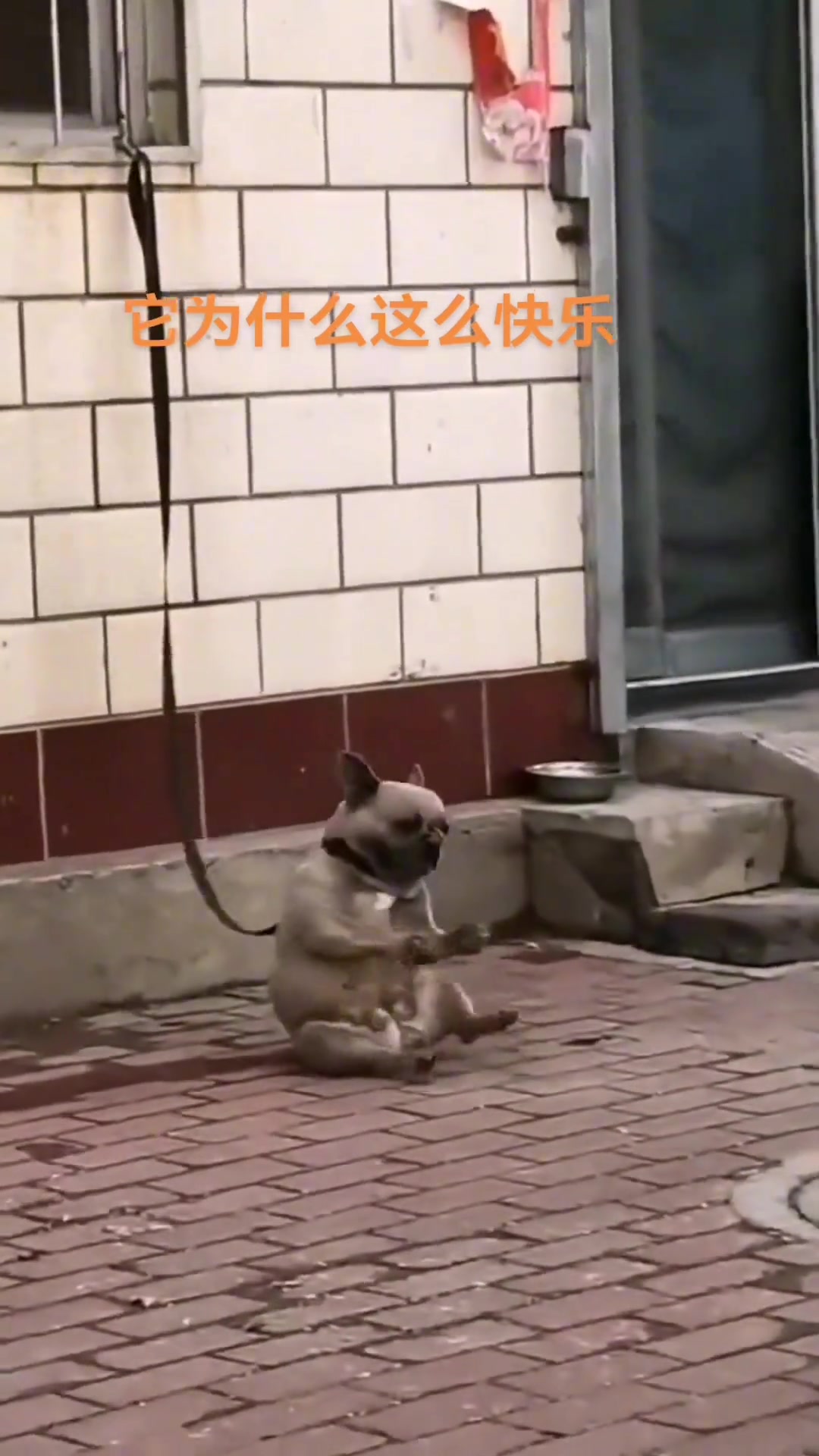 在哪里坐倒就在哪里快乐！