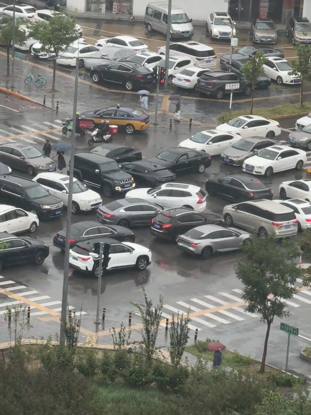 网友：先看段广告减去俩车
