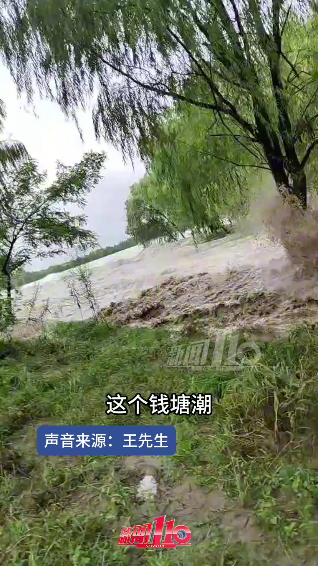 男子在钱塘江支流观潮，不料潮水汹涌而来差点被冲走
