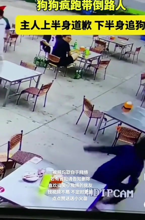 狗狗疯跑撞倒路人，主人上半身道歉下半身追狗