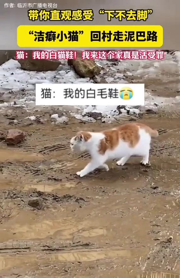 真像过年，小的时候穿上新鞋的样子