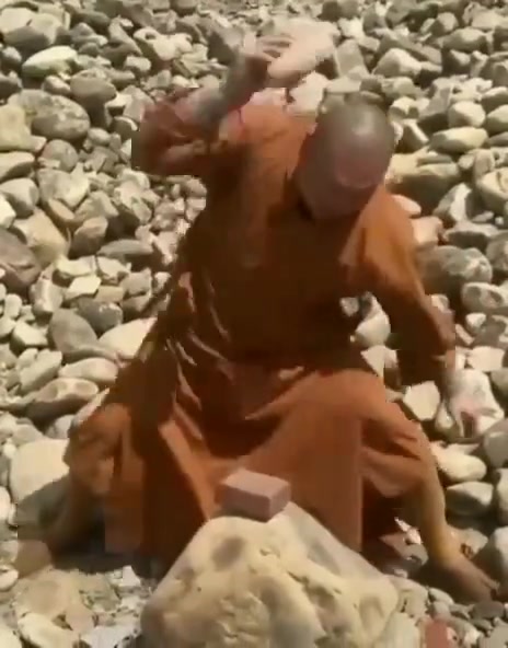 这应该真的是石头吧！！