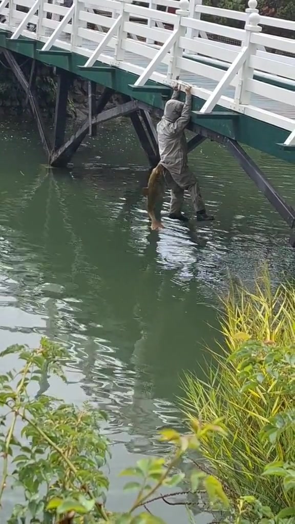 还能被鱼咬屁股的！