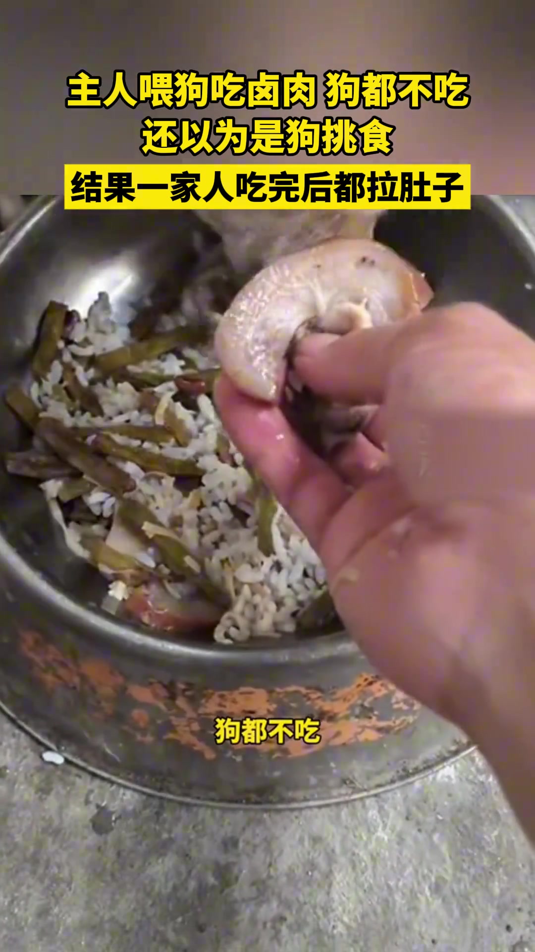 喂狗卤肉狗都不吃还以为是狗挑食结果一家人吃完后都拉肚子了