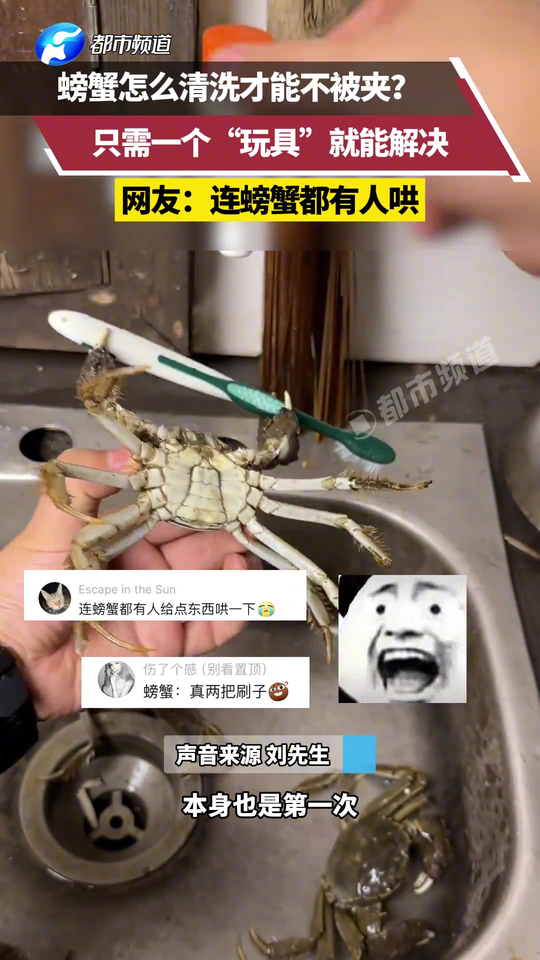 螃蟹怎么清洗才能不被夹只需一个“玩具”就能解决