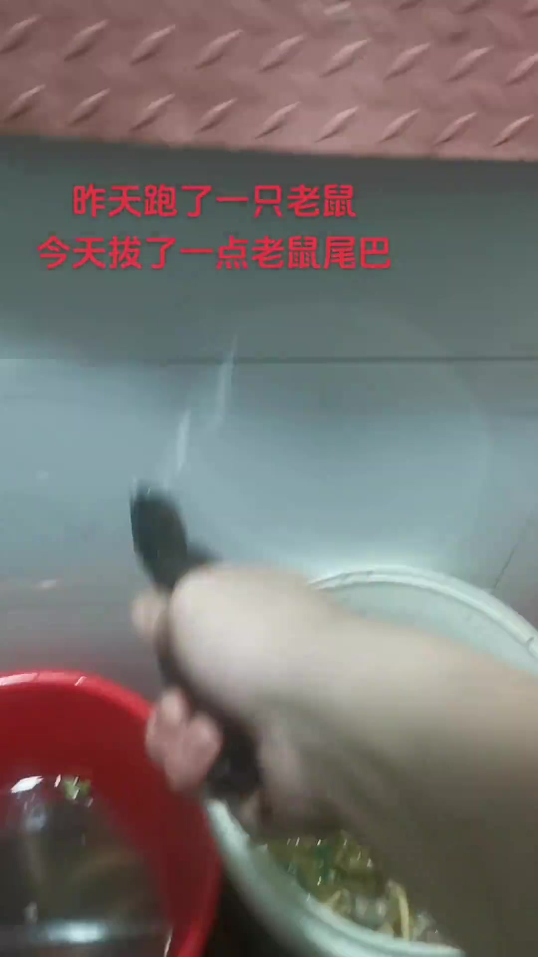 这是把老鼠尾巴的筋都抽出来了吗