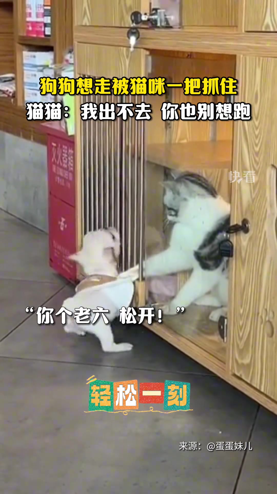 狗狗想走被猫咪一把抓住猫猫：我出不去你也别想跑
