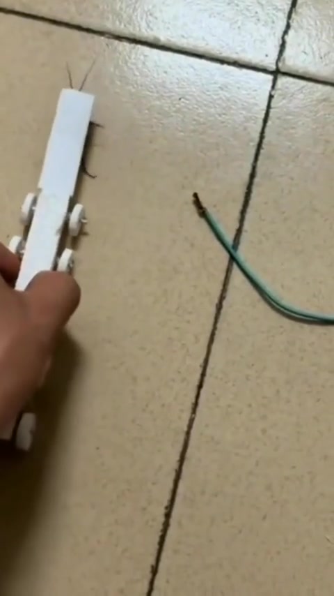蟑螂：电车跑的就是快！