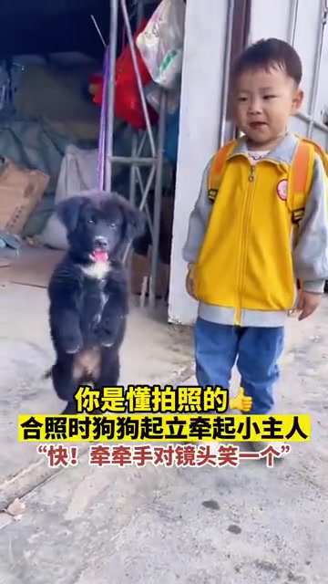 这小狗成精了，合拍还不忘牵着小主人的手
