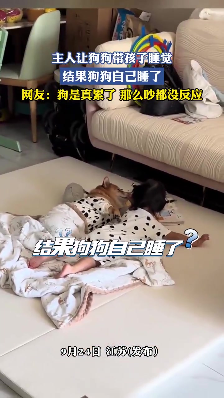 搞笑！主人让狗狗陪孩子睡觉，结果狗狗睡着了