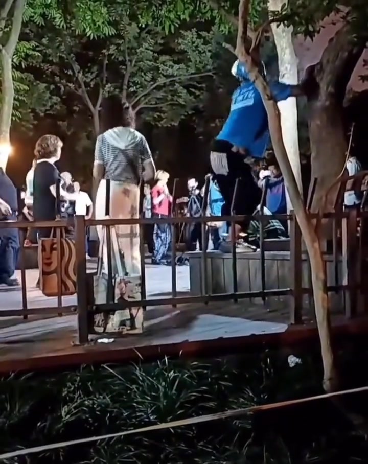 给生活找点乐子烦恼忘掉