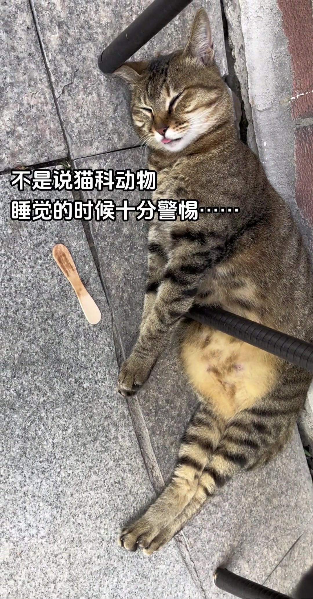 学长醒一醒咯不要睡了