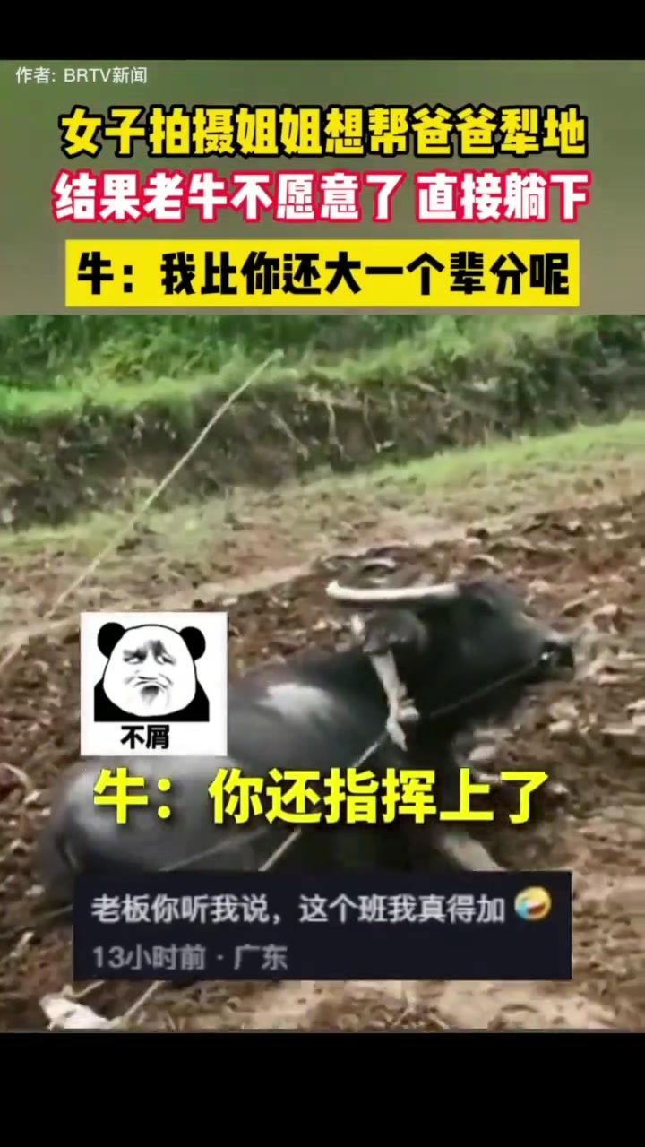 牛：打你牛叔是不看我摆烂！