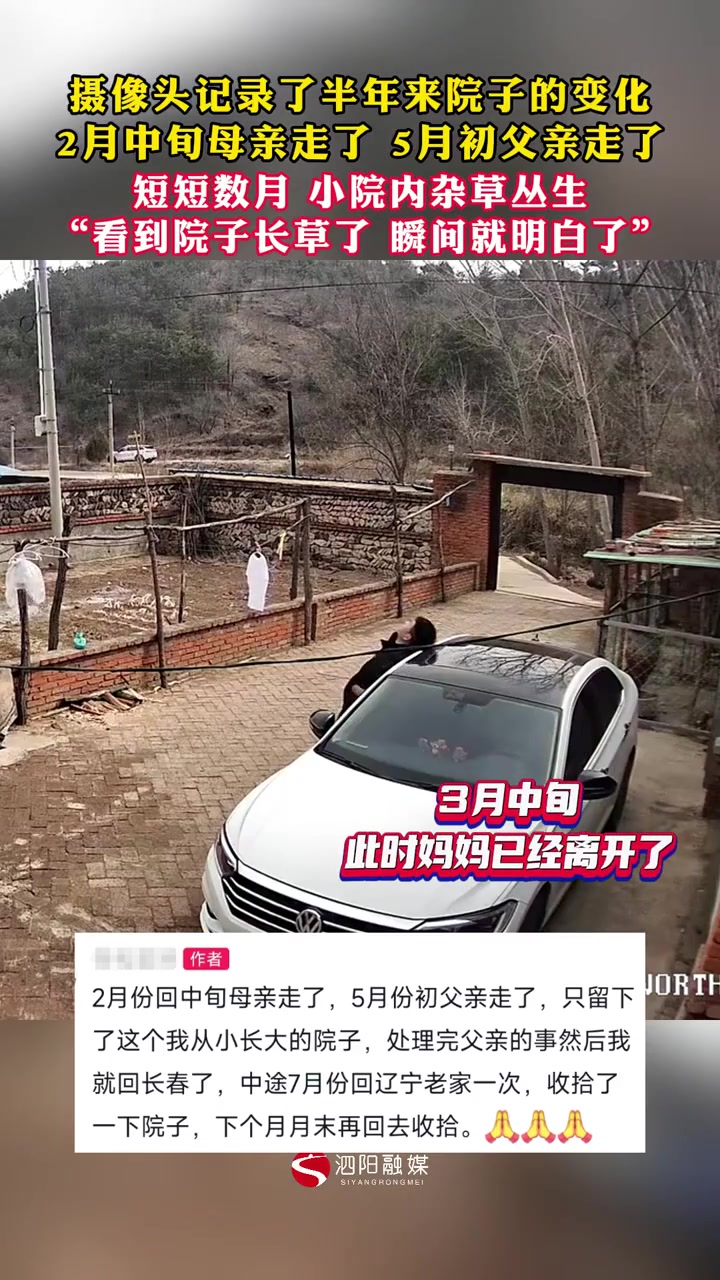 摄像头记录了半年来院子的变化