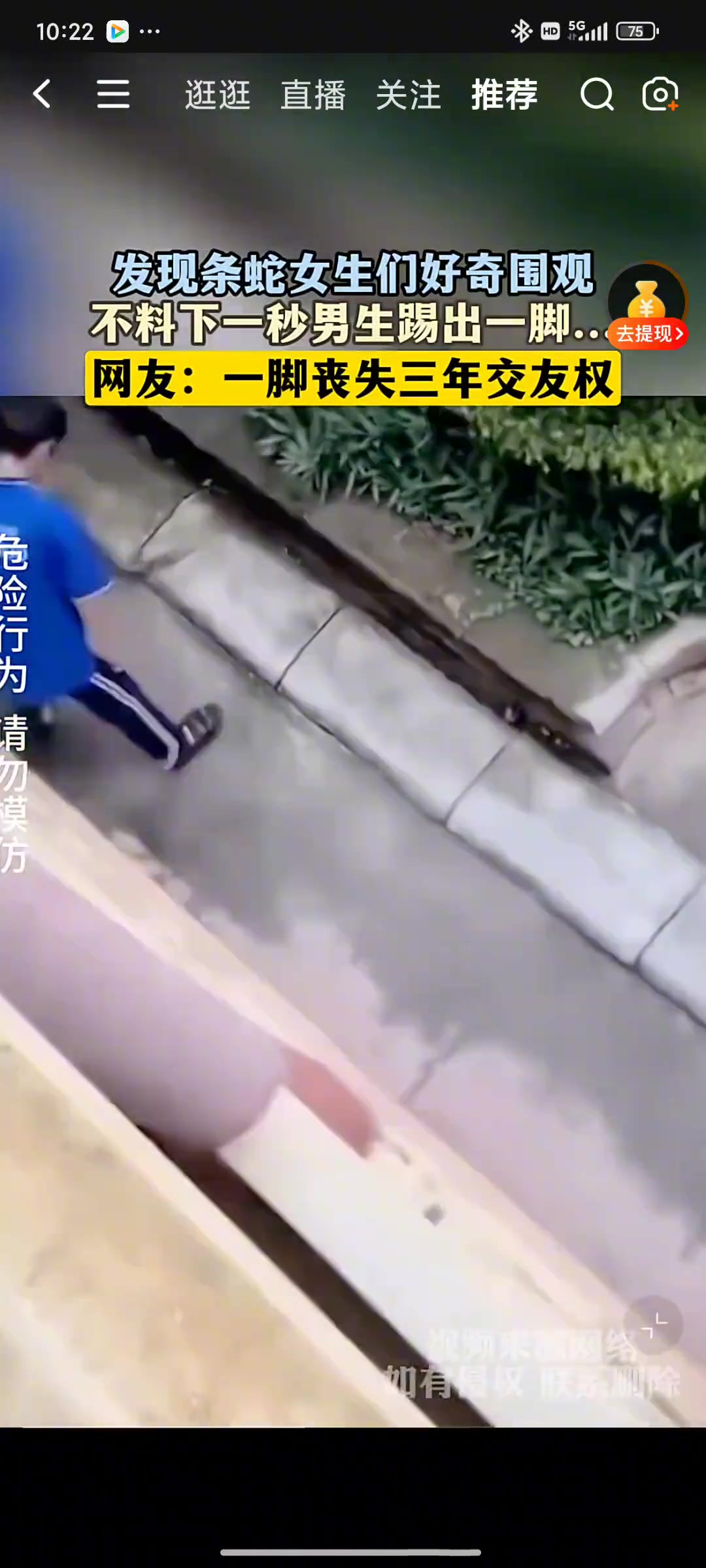 发现条蛇女生们好奇围观，不料下一秒男生踢出一脚