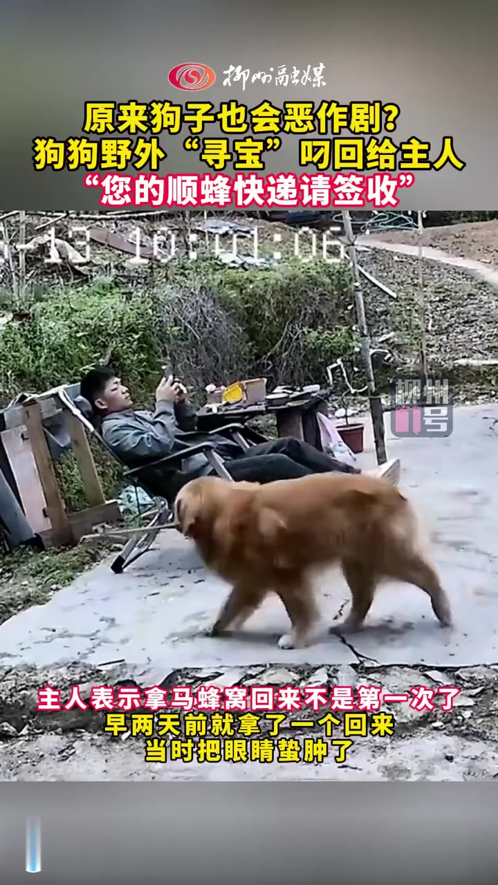 我大哥溜达回来了
