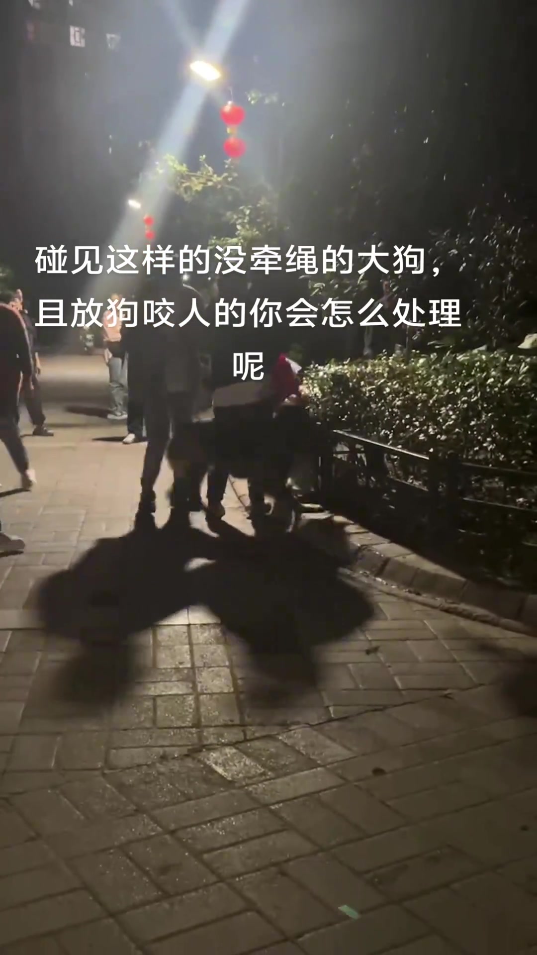 碰见这样没牵绳的大狗，且放狗咬人的你会怎么处理