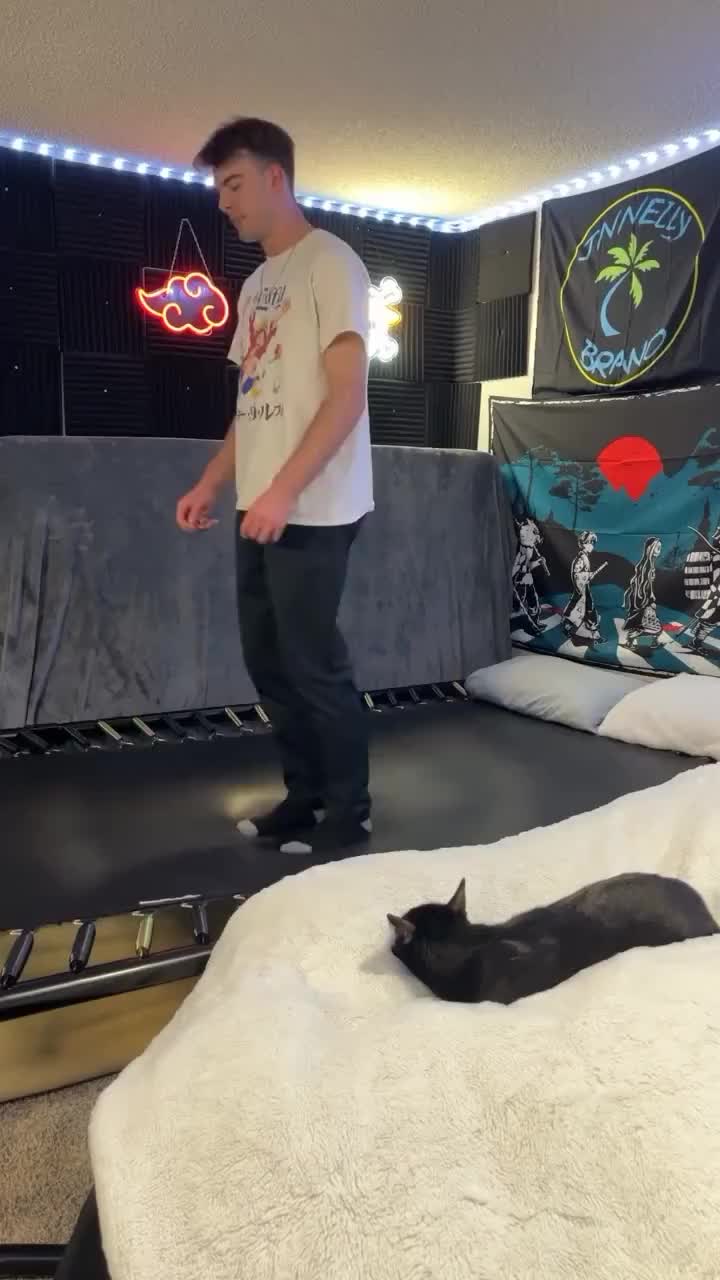 外国小哥蹦床360度翻腾，猫猫：给我看傻了都