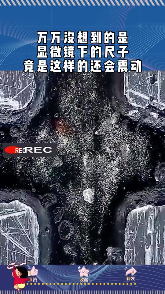 万万没想到的是，显微镜下的尺子，竟是这样的还会震动！！