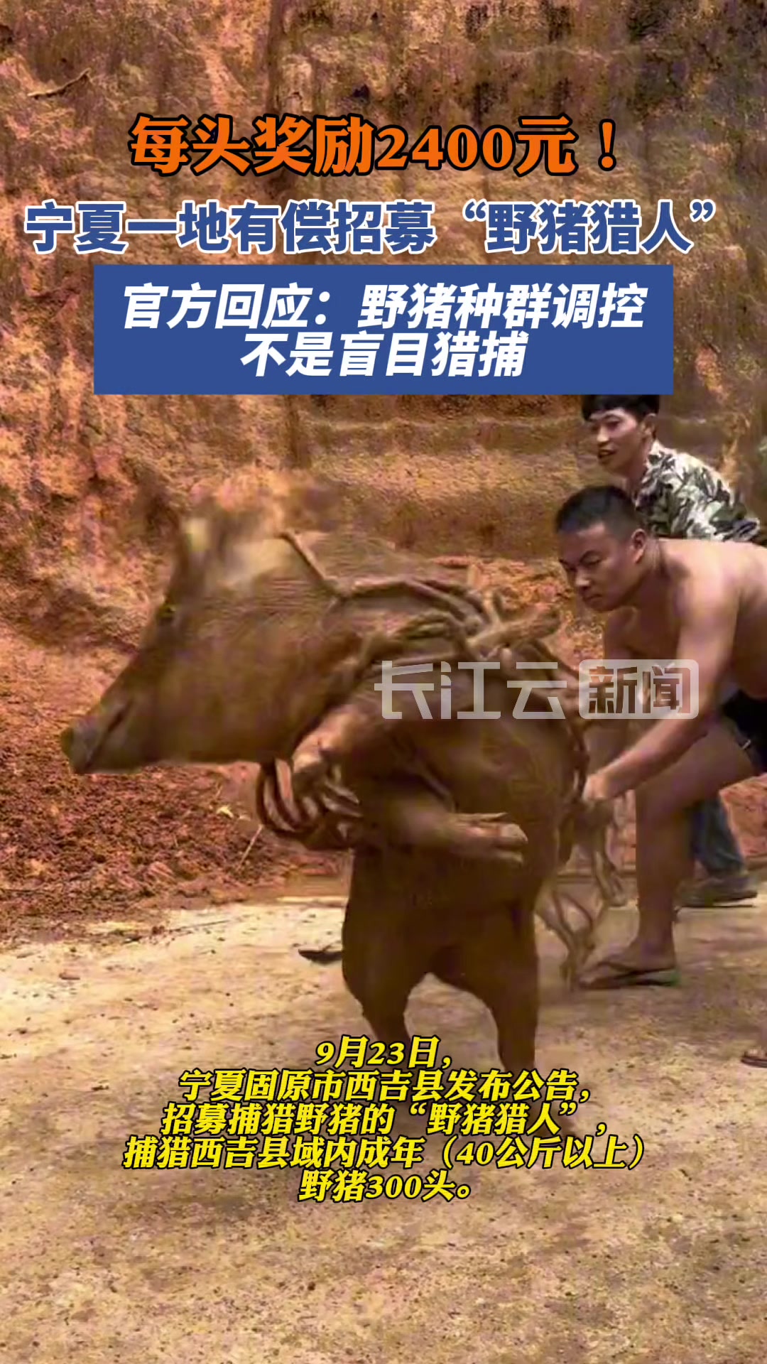 野猪猎人，还有这种职业！！
