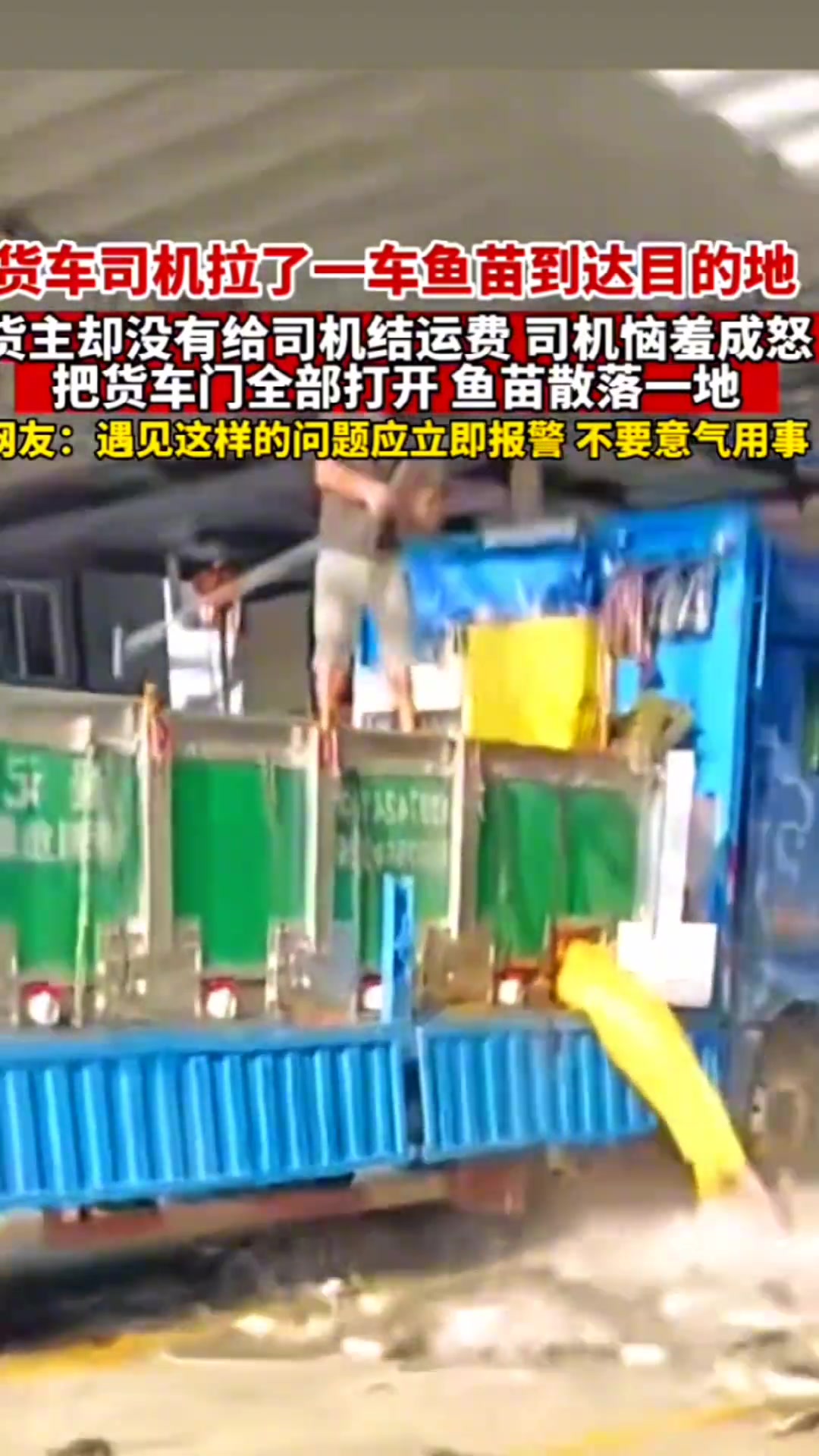 老板不给运费，直接放鱼！