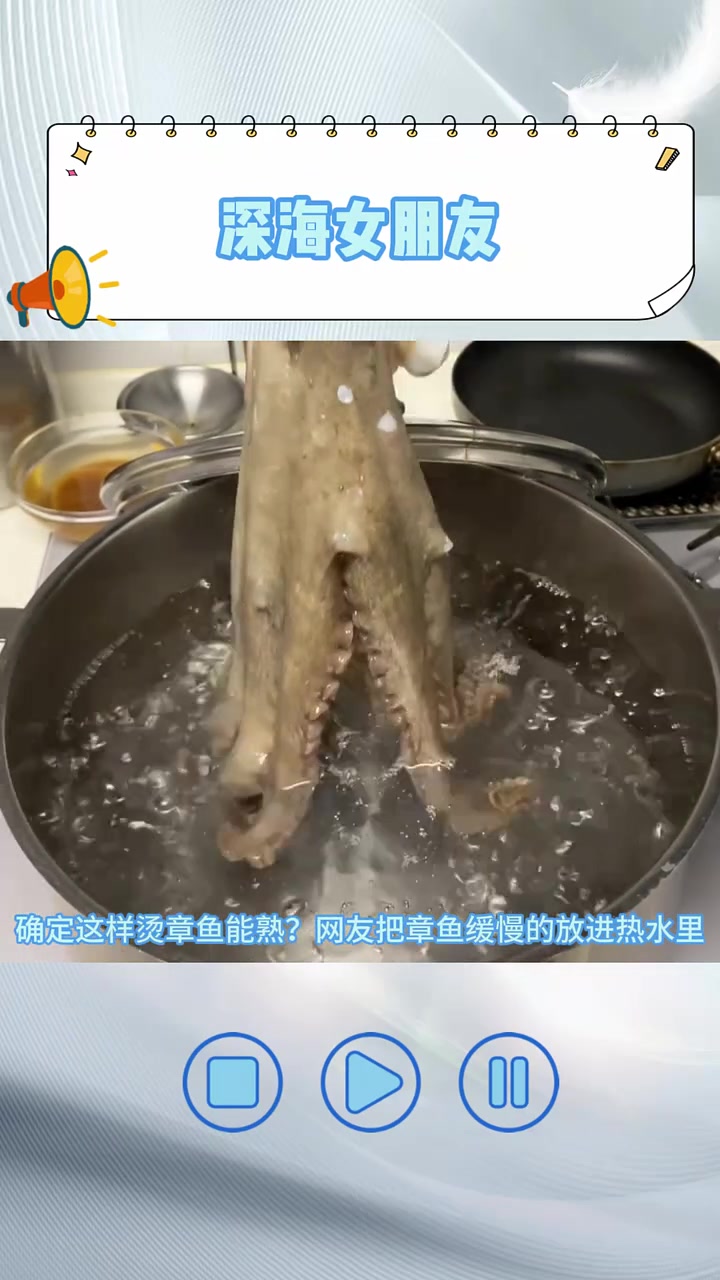 原来一烫，章鱼脚就会卷起来啊！！