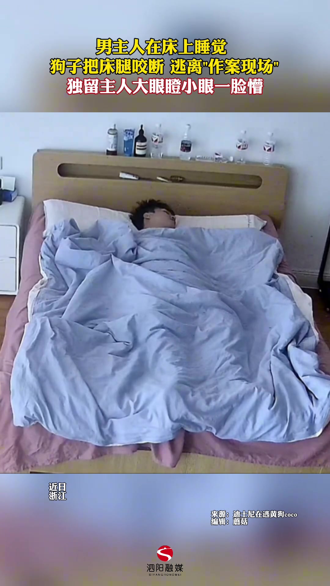 男子在床上睡觉狗子把床腿咬断后逃离作案现场留主人原地懵圈