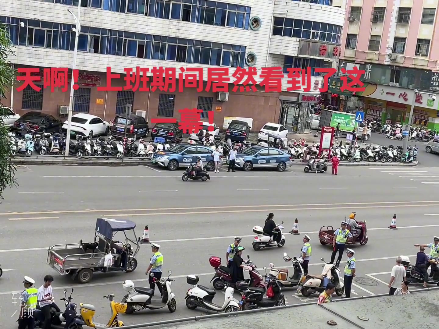这要是我，我可以在这看一早上！