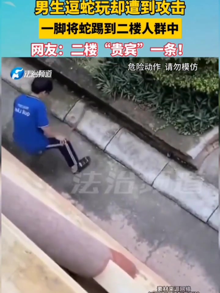 男生逗蛇玩却遭到攻击，一脚将蛇踢到二楼人群中