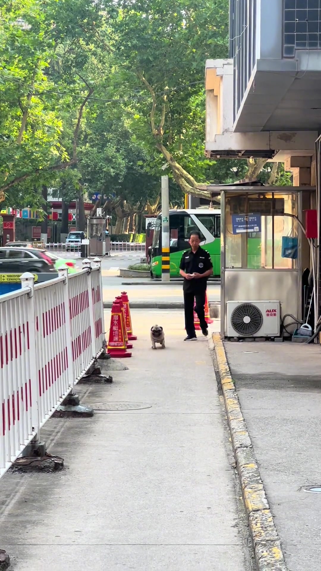 顺拐加腿不打弯哈哈哈