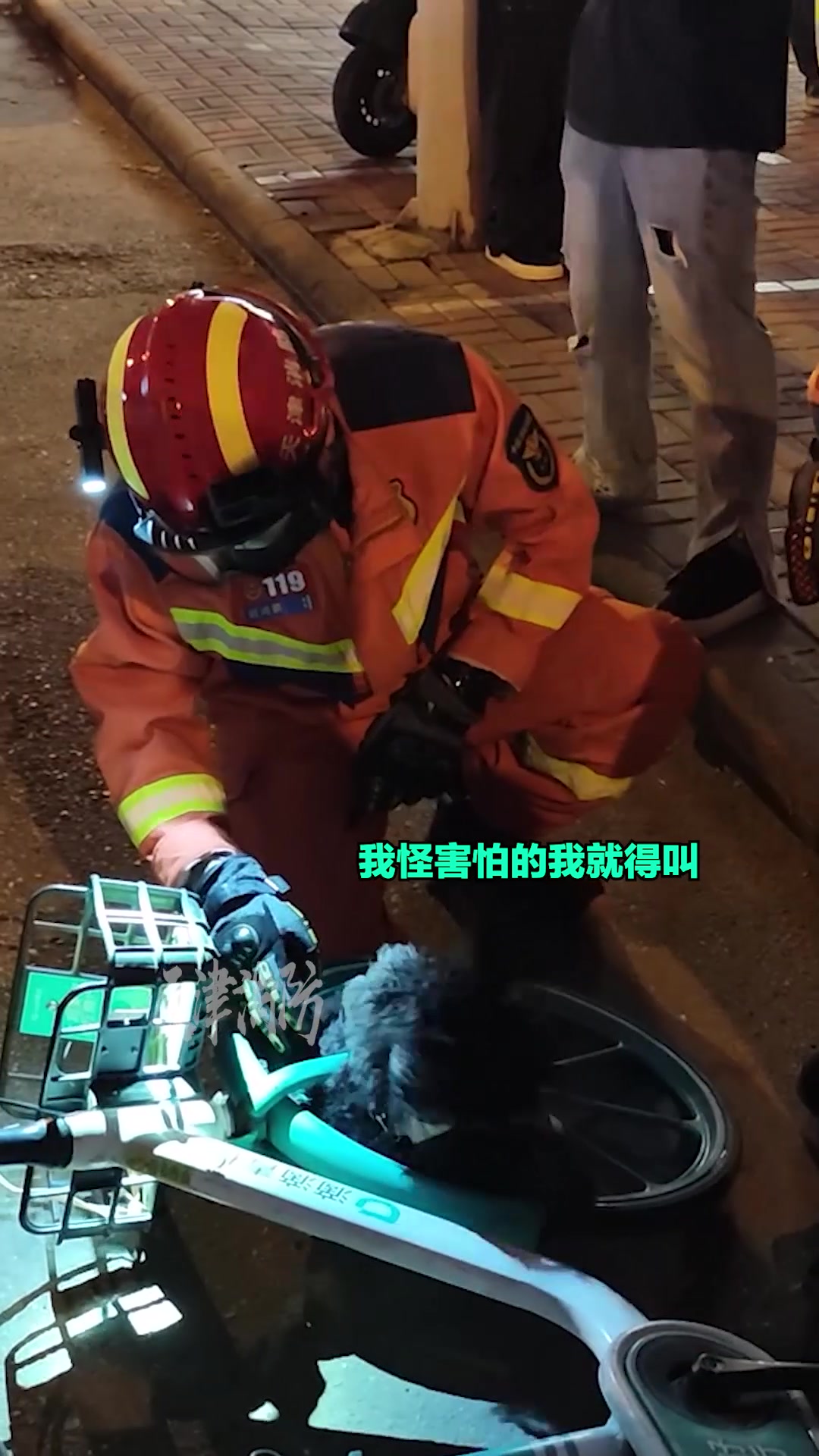 宠物狗不慎卡如共享单车，其实双方都挺害怕的