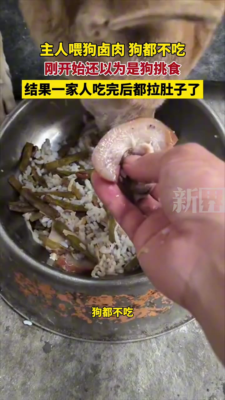 主人给狗子喂卤肉，结果狗都不吃，一家人吃完后都拉肚子了