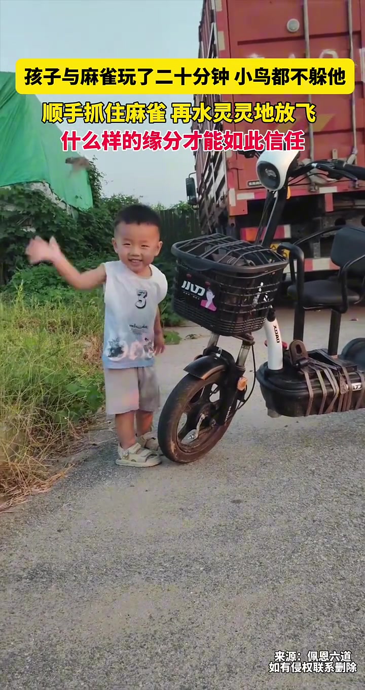 小孩子和麻雀玩了二十分钟，小鸟都不躲他