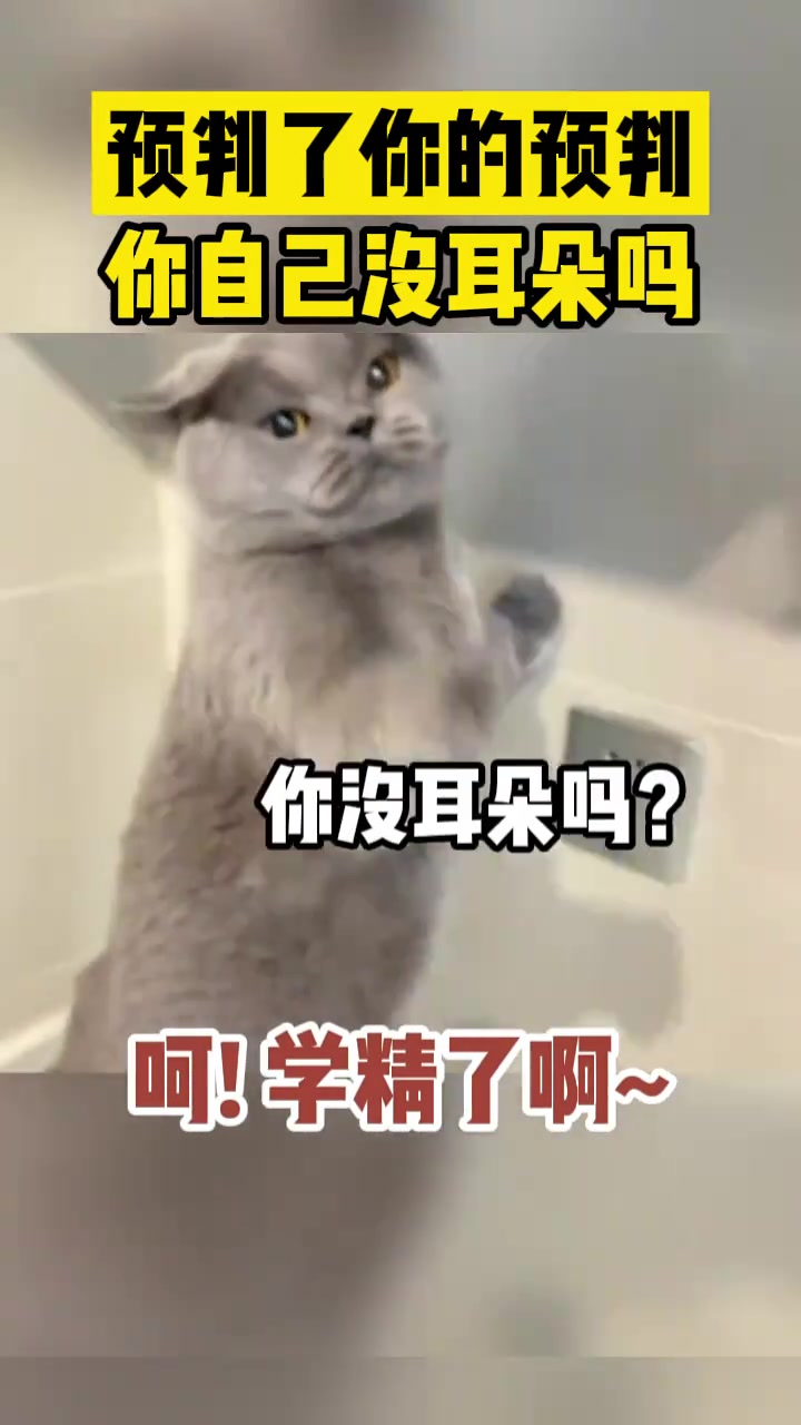 它预判了你的预判！你自己没耳朵吗