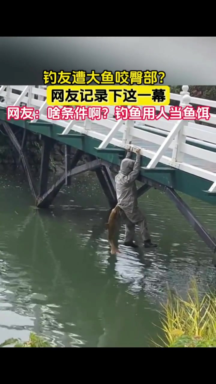 离谱一幕！钓友遭大鱼咬臀部