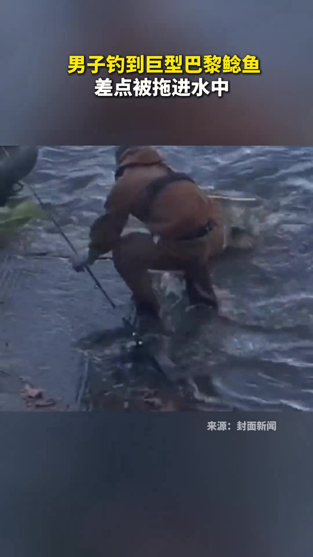 男子钓到巴黎鲶鱼，差点被拖进水中
