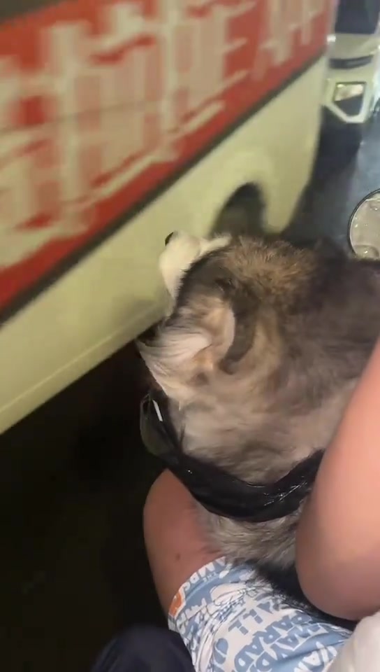 它会不会突然跳车