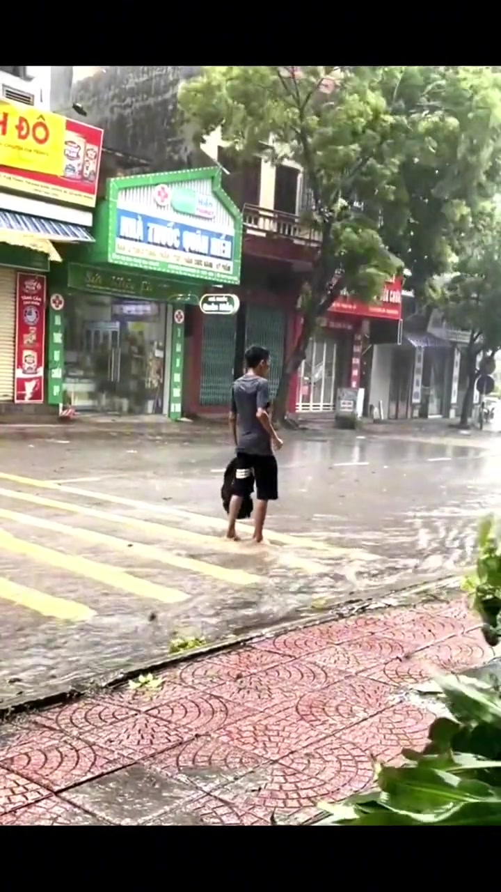 为何不避因为打懵了