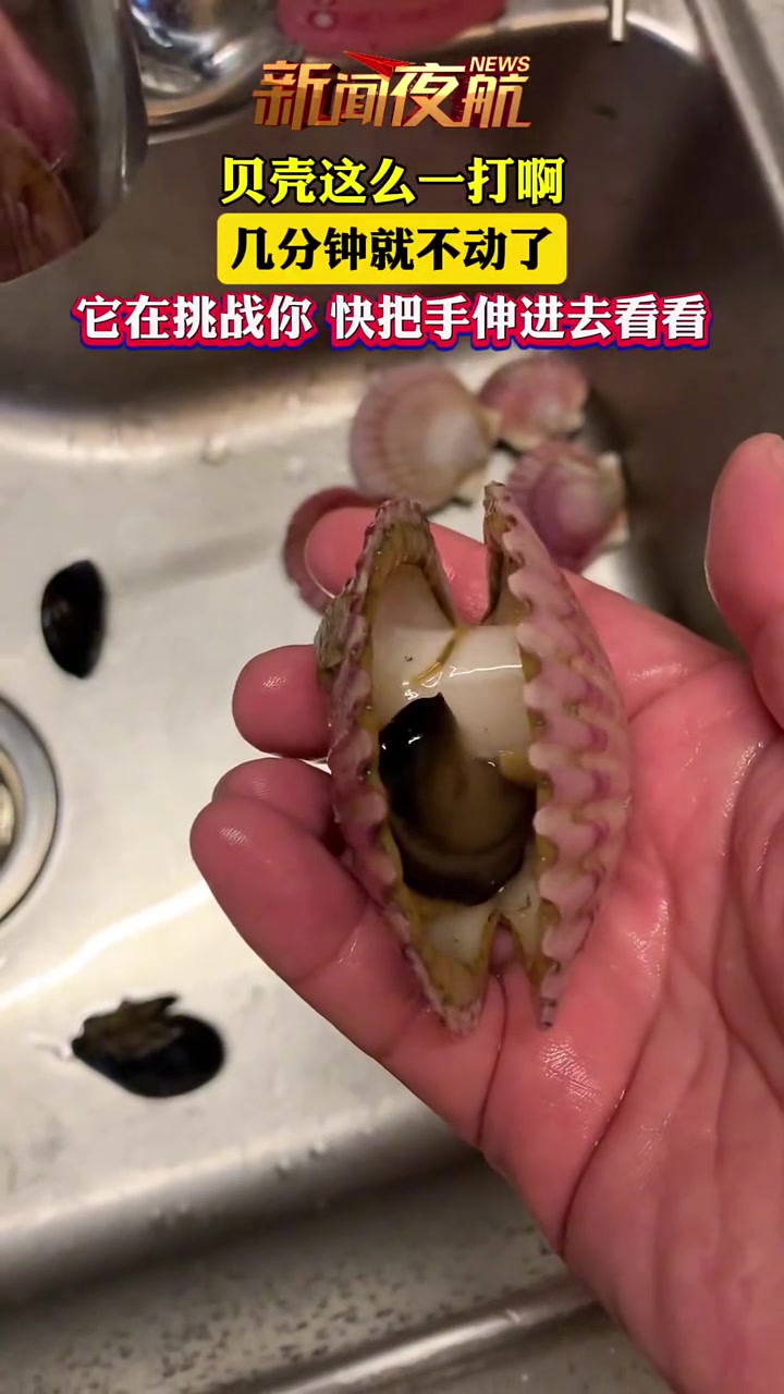 愣着干啥，把手伸进去啊