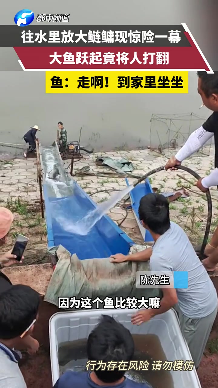 往水里放大鲢鳙现惊险一幕，大鱼跃起竟将人打翻！