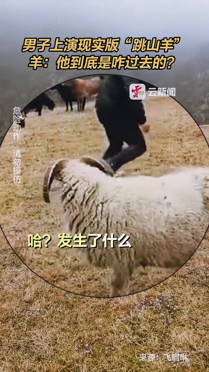 男子上演现实版“跳山羊”，羊：第一次见这样过人！