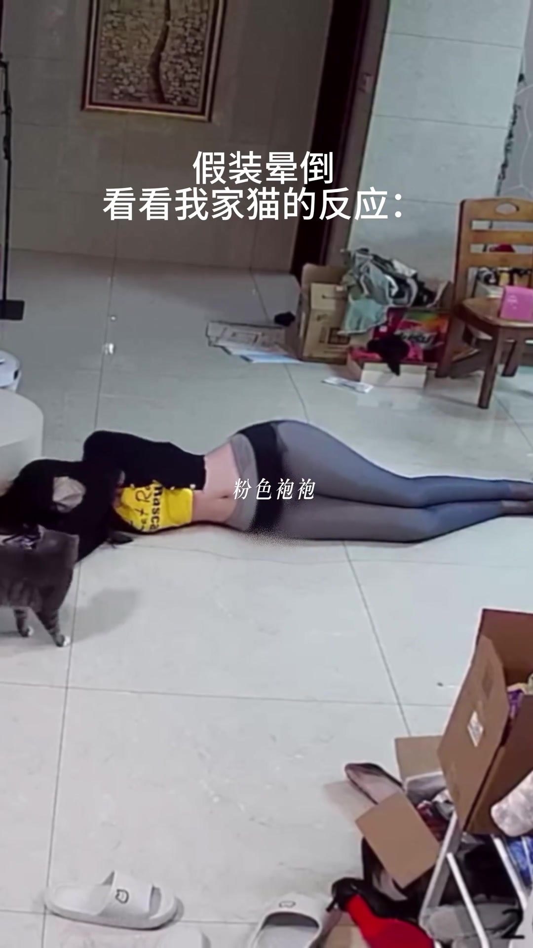 怎么和电视上的不一样假装晕倒看它的反应...
